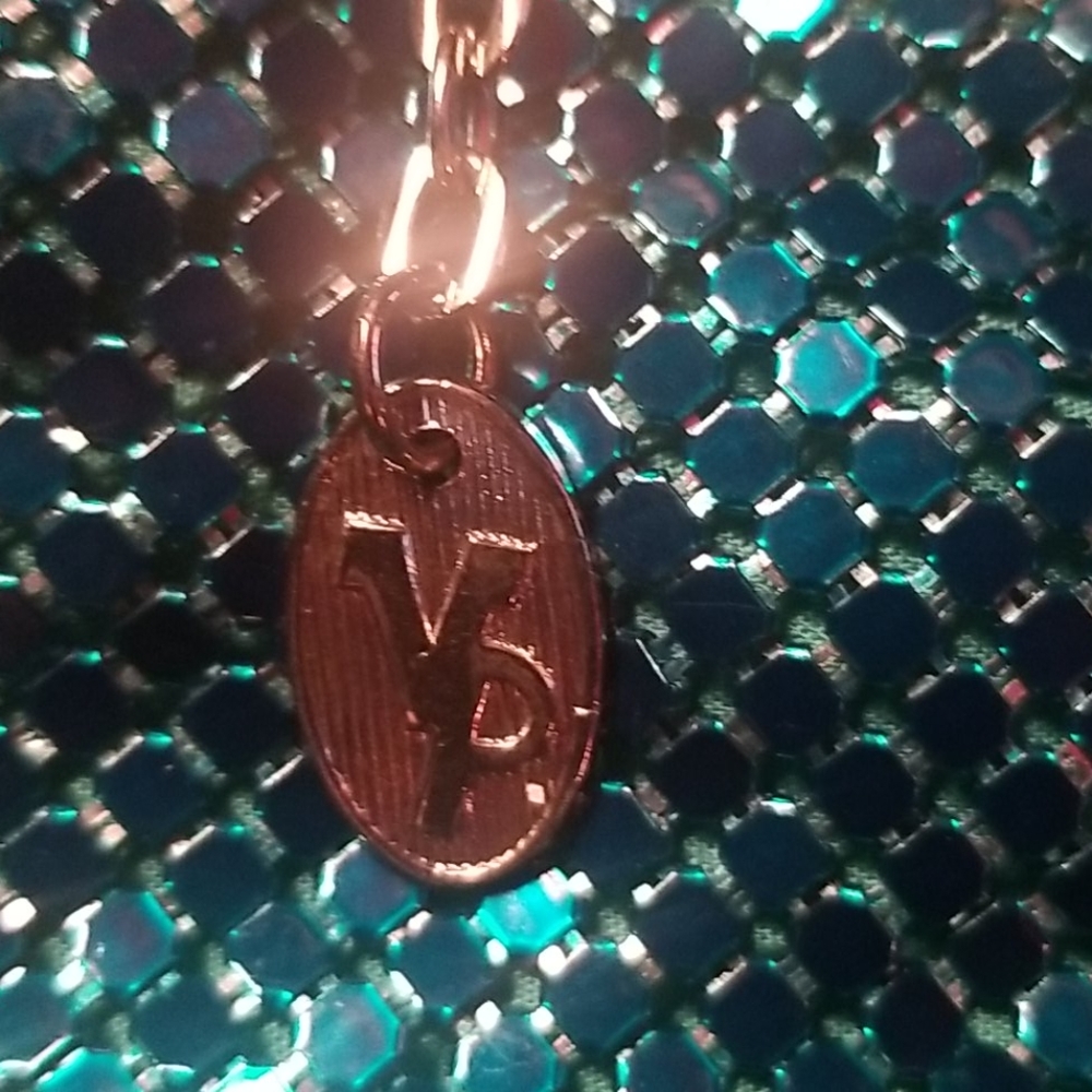 Vintage Victoria Place Mesh Evening Bag View 2